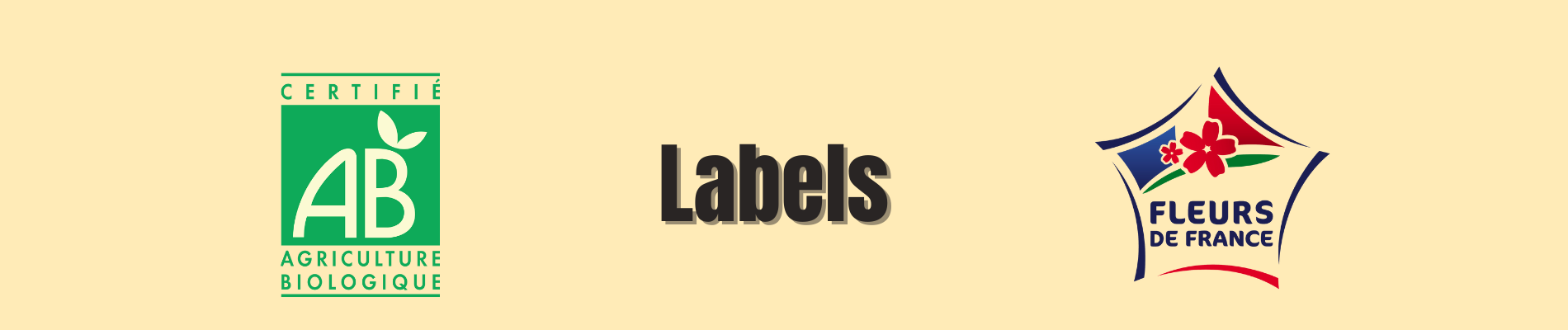 LABEL_BIO_FDF